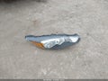 Photo 12 of 12 — 2018 Ford Fiesta
