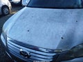 Photo 6 of 11 — 2008 Toyota Avalon