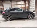 Photo 13 of 16 — 2019 Alfa Romeo Stelvio