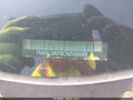 Photo 9 of 11 — 2012 Nissan Altima