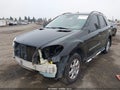 2006 Mercedes-Benz ML-Class — photo 2 of 14 | VIN 4JGBB86E46A014230