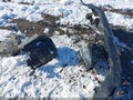 2020 Subaru Outback — photo 12 of 17 | VIN 4S4BTAEC9L3173507