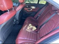 Photo 8 of 13 — 2018 Mercedes-Benz C-Class