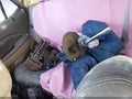 Photo 12 of 17 — 2006 Acura MDX