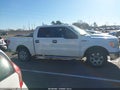 Photo 13 of 17 — 2013 Ford F-150