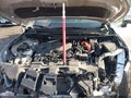 Photo 10 of 18 — 2024 Toyota Venza