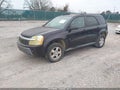 2006 Chevrolet Equinox — photo 2 of 11 | VIN 2CNDL63F966203296