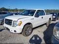 2013 Ford F-150 — photo 2 of 19 | VIN 1FTFX1CF6DFA86932
