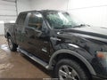 2013 Ford F-150 — photo 6 of 16 | VIN 1FTFW1ET8DKD98330
