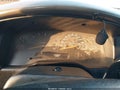 Photo 7 of 15 — 2001 Dodge Dakota