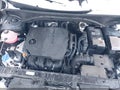 2025 Kia Sorento — photo 10 of 17 | VIN 5XYRG4JC1SG359454