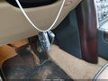Photo 11 of 16 — 2012 Land Rover Range Rover
