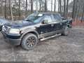 Photo 2 of 18 — 2008 Ford F-150