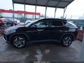 Photo 14 of 16 — 2023 Hyundai Tucson