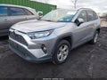 2019 Toyota RAV4 — photo 2 of 17 | VIN JTMP1RFV0KD018058