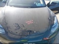 2023 Tesla Model 3 — photo 10 of 18 | VIN 5YJ3E1EA8PF453431