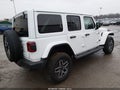 2025 Jeep Wrangler — photo 4 of 17 | VIN 1C4PJXEN1SW524377