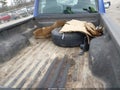 Photo 8 of 16 — 2005 Ford Ranger