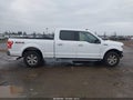 2019 Ford F-150 — photo 14 of 17 | VIN 1FTFW1E46KKE39513