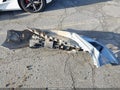 2021 Honda Accord — photo 12 of 17 | VIN 1HGCV1F36MA028036