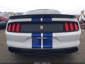 Photo 16 of 16 — 2016 Ford SHELBY
