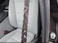 Photo 17 of 22 — 2022 GMC Terrain