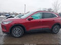 Photo 14 of 16 — 2025 Ford Escape