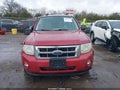 Photo 12 of 16 — 2010 Ford Escape