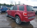 Photo 3 of 16 — 2010 Ford Escape
