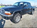 2004 Dodge Dakota — photo 2 of 16 | VIN 1D7HG48N34S664914