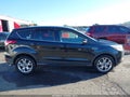 Photo 14 of 17 — 2013 Ford Escape