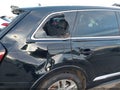 2020 Audi Q7 — photo 20 of 21 | VIN WA1AJAF76LD008221