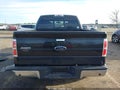 Photo 16 of 16 — 2010 Ford F-150