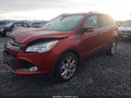 2014 Ford Escape — photo 2 of 17 | VIN 1FMCU9J97EUC64234