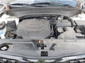 2024 Kia Telluride — photo 10 of 16 | VIN 5XYP5DGC8RG481193