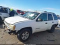 2002 Chevrolet Trailblazer — photo 14 of 16 | VIN 1GNDS13S522485913