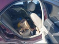 Photo 8 of 15 — 2012 Ford Fusion