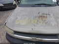2002 Chevrolet Trailblazer — photo 14 of 14 | VIN 1GNDS13S822218376