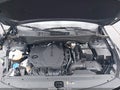 Photo 10 of 16 — 2024 Kia Sportage