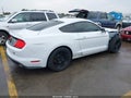 2019 Ford Mustang — photo 4 of 19 | VIN 1FA6P8TH3K5150797