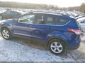 Photo 14 of 16 — 2014 Ford Escape
