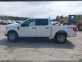 Photo 15 of 17 — 2021 Ford F-150