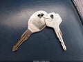 1986 Nissan 720 — photo 11 of 18 | VIN 1N6ND01SXGC300144