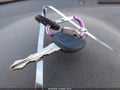 2007 Chevrolet Cobalt — photo 11 of 11 | VIN 1G1AK15F977132301