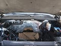 2015 GMC Yukon XL — photo 10 of 15 | VIN 1GKS1HKC8FR632779