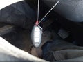 Photo 11 of 17 — 2016 Nissan Rogue