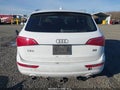 Photo 17 of 19 — 2009 Audi Q5