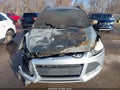 Photo 6 of 11 — 2014 Ford Escape