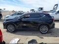 Photo 15 of 17 — 2025 Lexus NX 350h