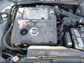 2008 Nissan Maxima — photo 10 of 11 | VIN 1N4BA41E08C831084